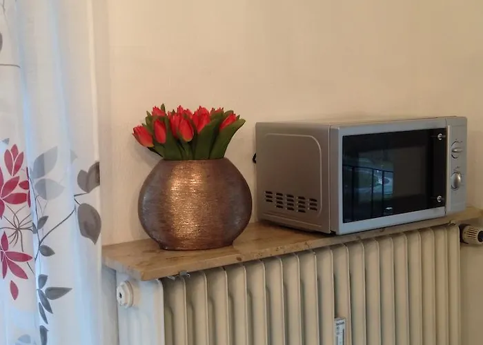 Apartamento Ettelsberg Willingen (Upland)