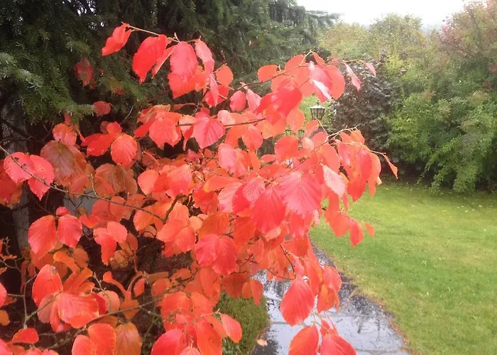 艾特斯伯格公寓